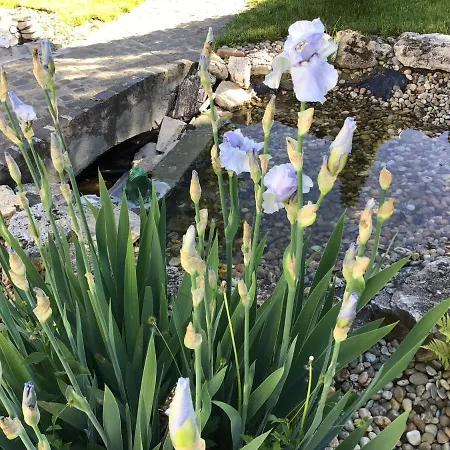 شقة 3 Bedroom Private Floor In Luxury Mansion