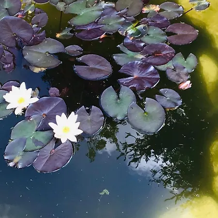 3 Bedroom Private Floor In Luxury Mansion شقة *