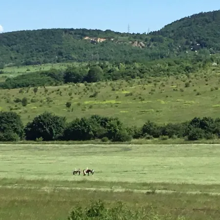 3 Bedroom Private Floor In Luxury Mansion * بودابست